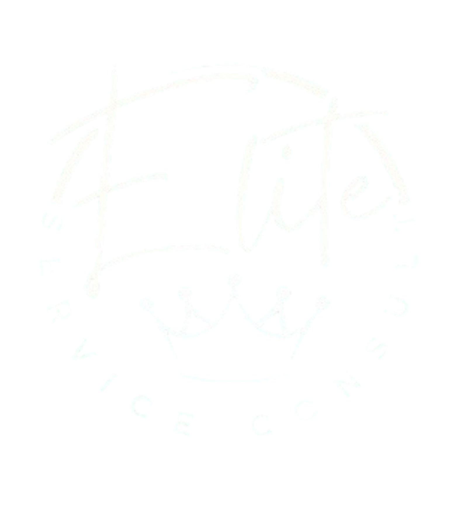Credit Consult Elite